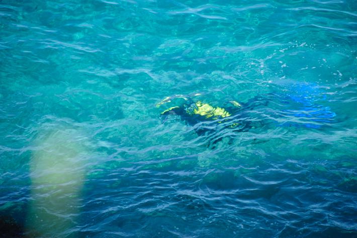 Almuñécar y La Herradura se promocionarán este fin de semana  en la feria de buceo  DTS en Madrid
